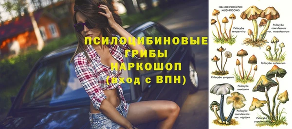 МДПВ Аркадак