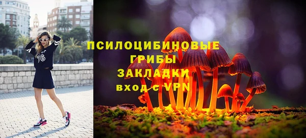 МДПВ Аркадак