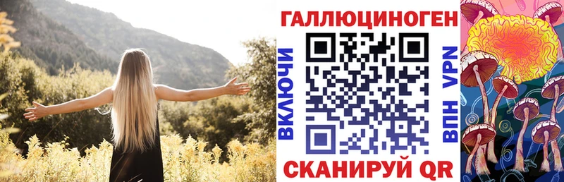 Галлюциногенные грибы Cubensis купить наркотик Балахна